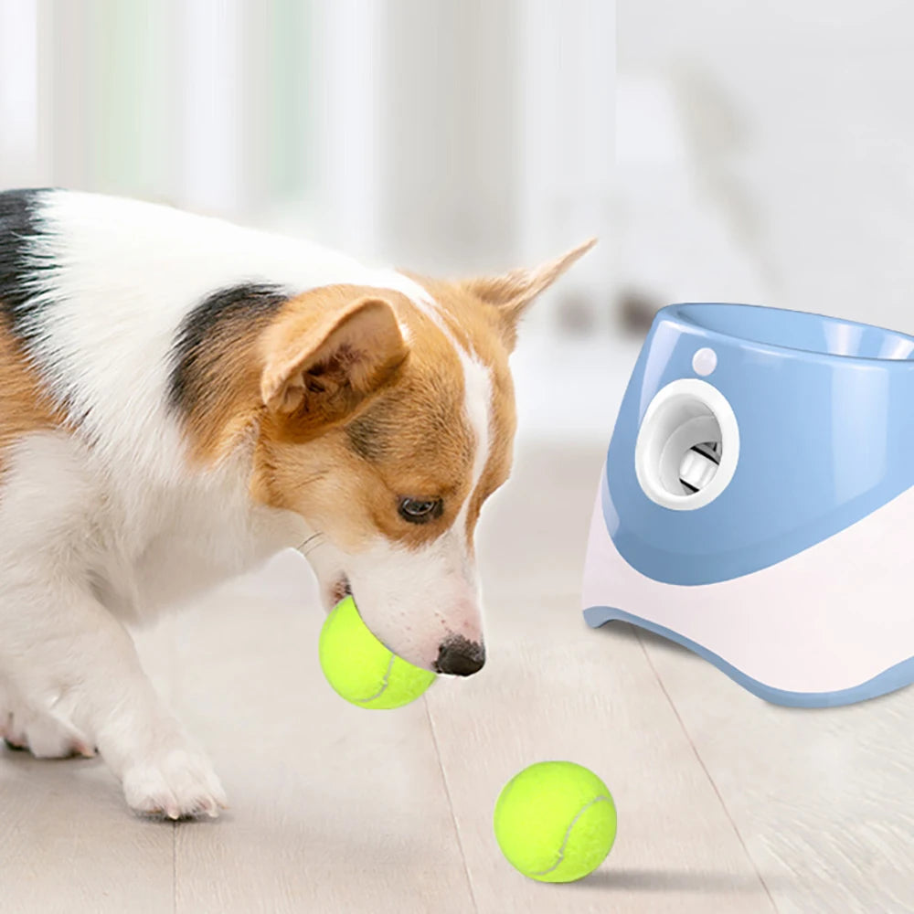 Automatic Tennis Ball Launcher!